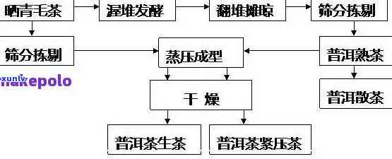 熟普的发酵工艺起源与演变全解析