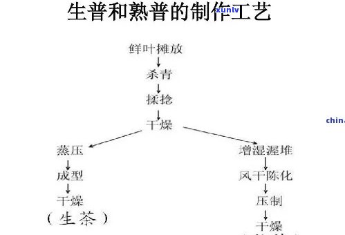 熟普的发酵工艺起源与演变全解析