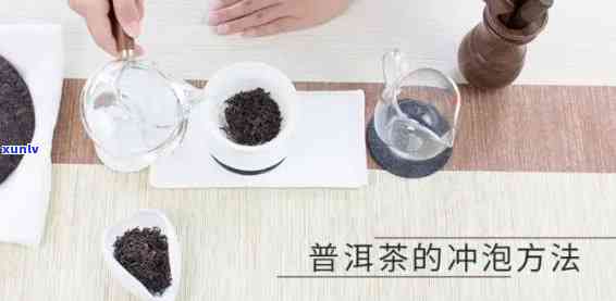 压缩普洱茶怎么泡，新手指南：如何泡制压缩普洱茶？