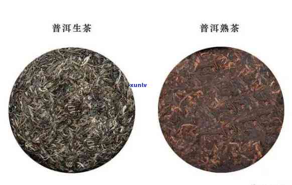 普洱茶陈化过程中的变化及其香气产生原因解析