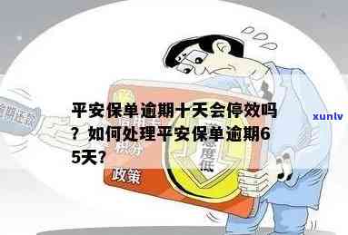 平安保单逾期十天是不是会停效？逾期65天、1个月后能否继续缴费？保险逾期多久作废？