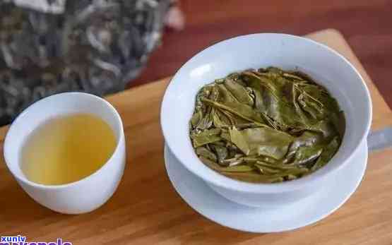 勐普洱茶的口感特点，探秘勐普洱茶的独特口感特点