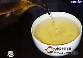 熟普年份，探秘熟普年份对茶叶口感和品质的影响