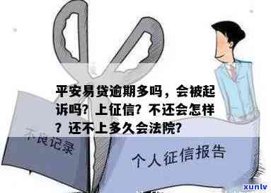 七饼普洱茶品种之间的细微差别：从原料、工艺到口感的深度解析