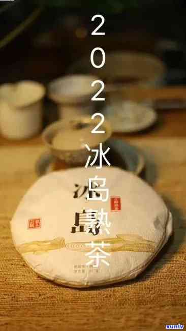 冰中岛王熟茶：价格、品质与收藏价值全解析