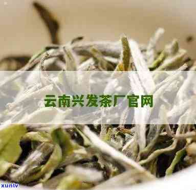 云南兴发茶厂：官网、八角亭、砖茶介绍及科技公司信息