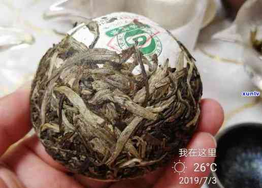 下关沱茶1号生茶，探索云南普洱：下关沱茶1号生茶的口感与历