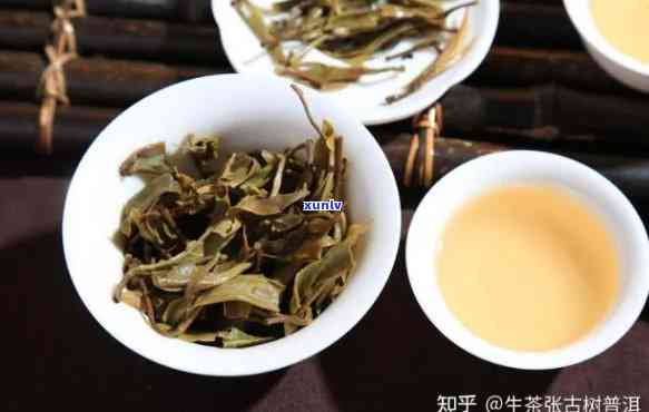 易武正山是哪个山头的代表性茶叶？