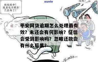 平安网贷逾期就是不想还了不好无所谓，平安网贷逾期：缺乏还款意愿，忽视信用记录