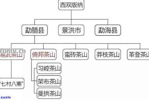 勐海布朗山和易武山哪个好，探讨茶叶之选：勐海布朗山与易武山，哪个更胜一筹？