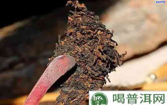 什么是熟茶毛料好吗-熟茶原料