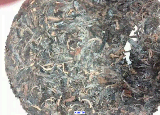 熟茶上的白霜是什么-熟茶上的白霜是什么成分