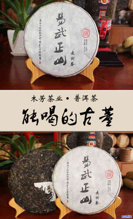 郎河易武正山大树茶，探索郎河易武正山大树茶的独特魅力与口感