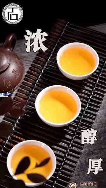 可以兴老熟茶，品鉴老熟茶，感受岁月的韵味——探究'可以兴老熟茶'