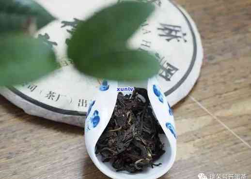 武易麻黑圆茶是什么，探秘茶叶世界：什么是武易麻黑圆茶？