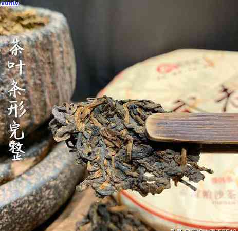 下关沱茶易武之春：2013春新品上市，易武老树沱茶与2012年贡品皆有，巅峰价格不容错过！