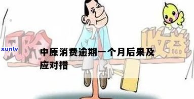 中原消费逾期费用减免-中原消费逾期费用减免政策