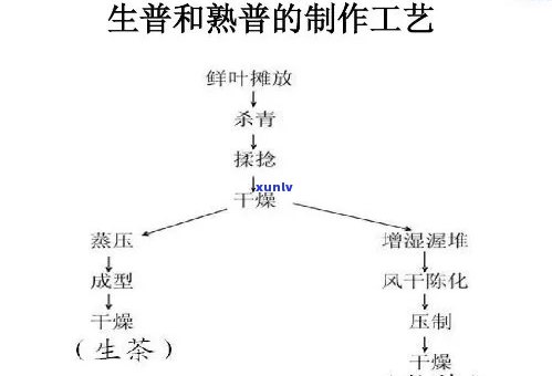 熟茶发酵工艺流程图详解：四阶全过程及图片展示