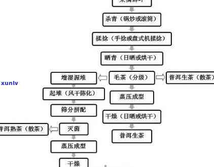 熟茶发酵工艺流程图详解：四阶全过程及图片展示