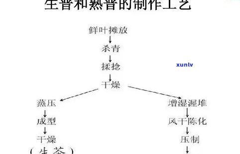 熟茶发酵工艺流程图-熟茶发酵工艺流程图片