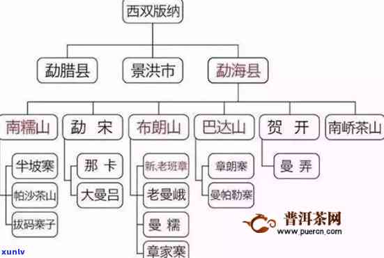 揭秘：勐茶区与易武茶区的异同之处及其特点