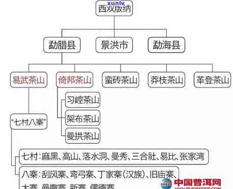 勐茶区和易武茶区一样吗，揭秘：勐茶区与易武茶区，有何异同？