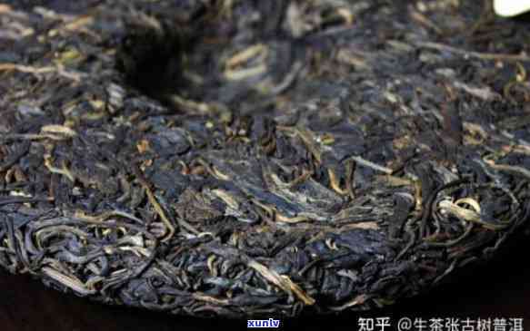 易武茶属于哪个产区的茶叶品种？探究其特点与分类