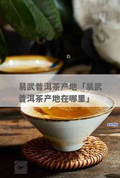 易武茶属于哪个产区-易武茶属于哪个产区的茶叶品种