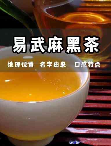 武易麻黑圆茶是什么？它的价格是多少？