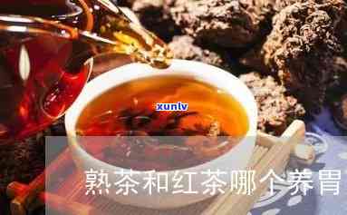 熟茶和红茶哪个养胃-熟茶和红茶哪个养胃效果好