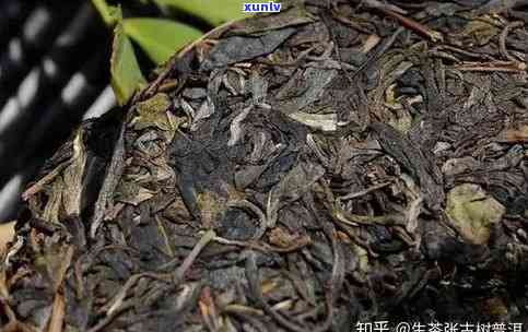 易武茶特点有菌香吗-易武茶特点有菌香吗为什么