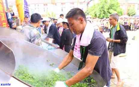 第十届易武斗茶大会-第十届易武斗茶大会 金奖