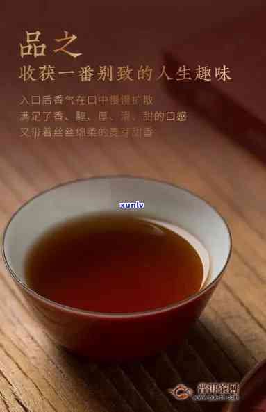 合和的熟茶怎么样-合和的熟茶推荐