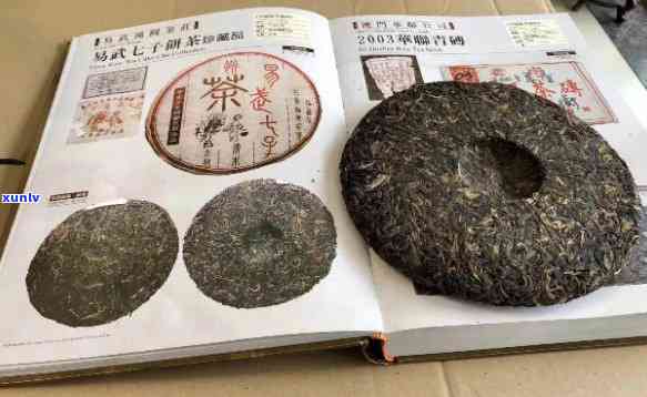 云南易武七子饼茶2003价格，深度解析：云南易武七子饼茶2003的市场价格走势及收藏价值