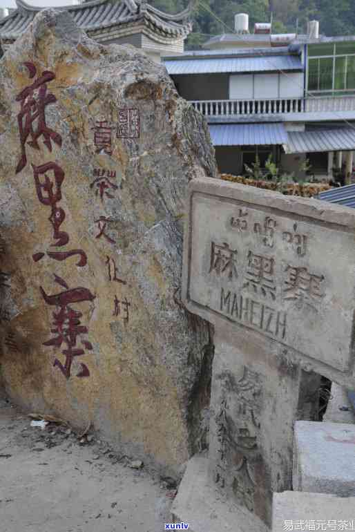 云南易武落水洞：生普、古树黄金饼价格及天气预报全知道！