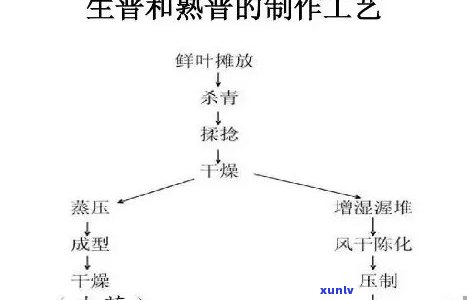 熟茶发酵工艺流程图，详解熟茶发酵工艺流程图：从叶到成品的全过程解析