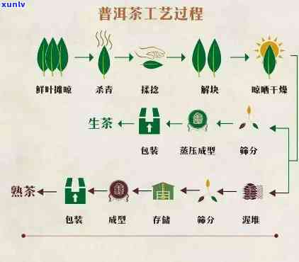 熟茶发酵工艺流程图，详解熟茶发酵工艺流程图：从叶到成品的全过程解析