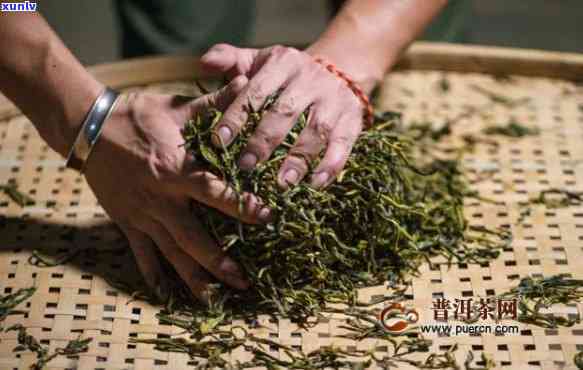 红茶茶的 *** 工艺流程，《探秘红茶的 *** 工艺流程》