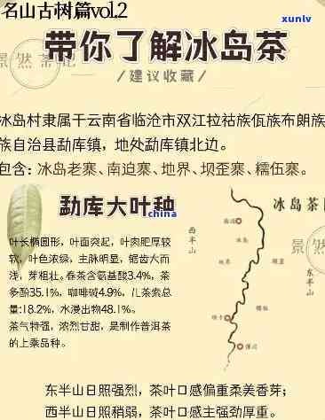 冰岛茶为什么出名，探秘冰岛茶的名气之谜：为何这种茶叶如此出名？