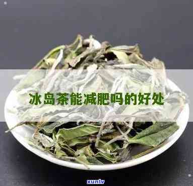 冰岛湖茶叶真的能减肥吗？探究其功效与副作用