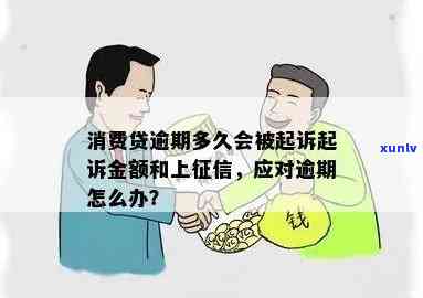 消费贷款逾期诉讼依据及结果、措与起诉金额全解析