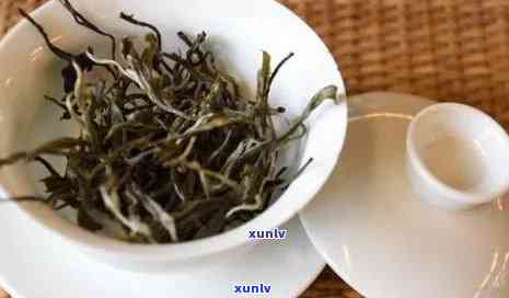 冰岛古树茶是普洱吗，冰岛古树茶：它属于普洱茶吗？