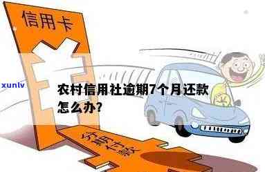 农村信用社逾期7个月怎么办，7个月未还农村信用社贷款，该怎样解决？