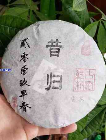 云南昔归古树茶饼生茶价格介绍及2019年市场行情