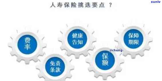 中国人寿保险逾期，中国人寿保险逾期：怎样避免和解决这个疑问？