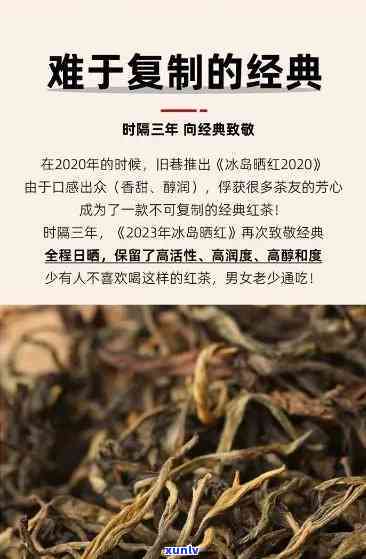 冰岛晒红大叶茶价格多少？一斤、一盒的具体报价是多少？大叶种晒青茶的售价又是如何？