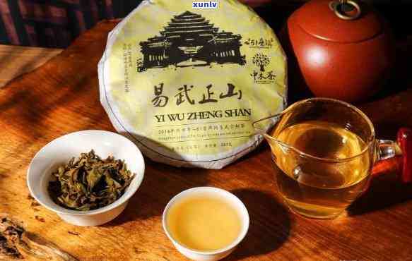 六大古茶山之易武：易武与古六大茶山的关系及特点，易武茶山包括哪些古茶园？