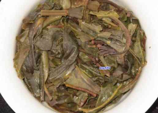 下关易武正山老树茶2012，探索云南普洱茶的魅力：品鉴下关易武正山老树茶2012年份