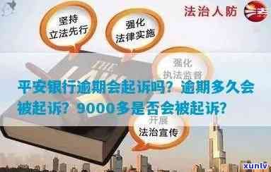 平安逾期9000会起诉吗？多久会全额还款？上个人需要几天？