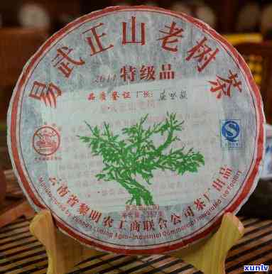 易武正山木老树茶-易武正山木老树茶特级品